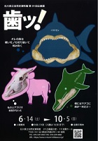 石川県立自然史資料館